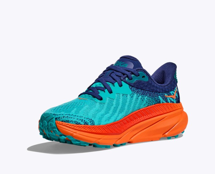 HOKA challenger 7 | נעלי הוקה