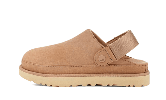 UGG GOLDENSTAR CLOG DRIFTWOOD | כפכפי אגג